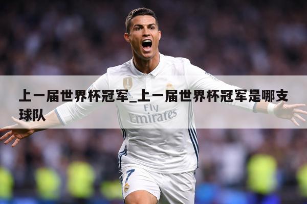 上一届世界杯冠军_上一届世界杯冠军是哪支球队