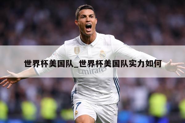 世界杯美国队_世界杯美国队实力如何