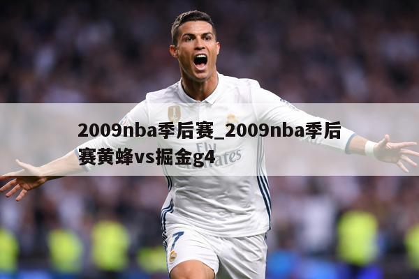 2009nba季后赛_2009nba季后赛黄蜂vs掘金g4