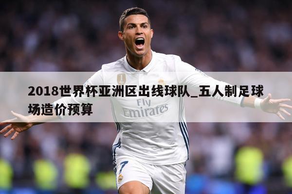 2018世界杯亚洲区出线球队_五人制足球场造价预算