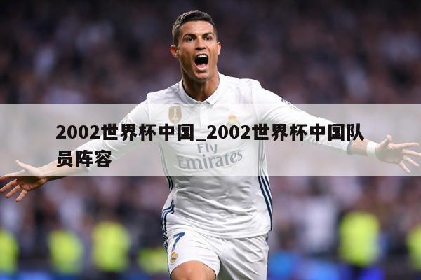 2002世界杯中国_2002世界杯中国队员阵容