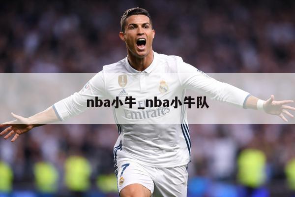 nba小牛_nba小牛队